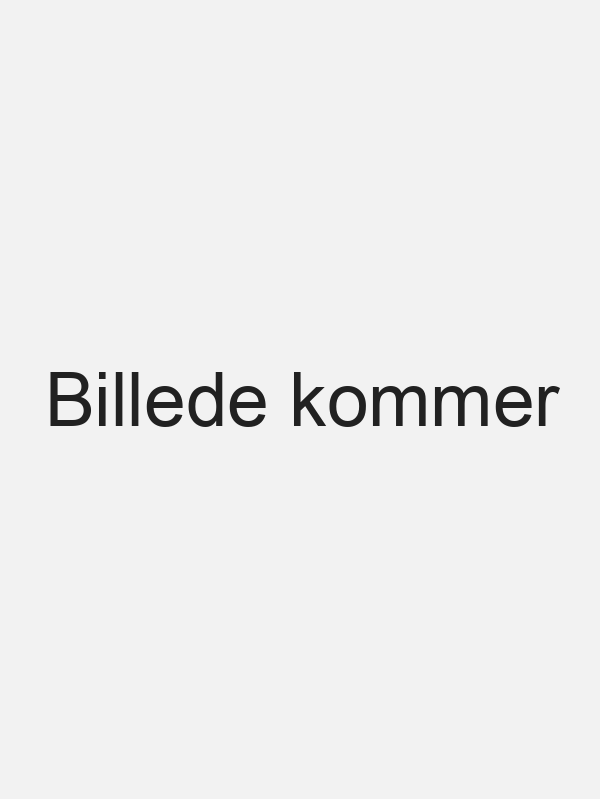 R&oslash;dvin