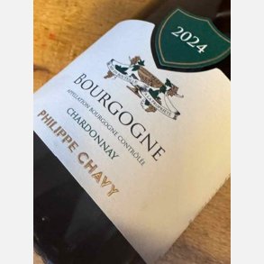 Domaine Philippe Chavy / Bourgogne Blanc 2024