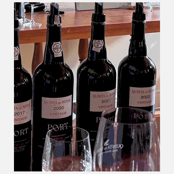Vinaften med QUINTA do NOVAL