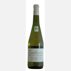 Domaine des Baluettes/ Muscadet Sevre et Maine  2022 / �KO