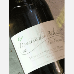 Domaine des Baluettes/ Muscadet Sevre et Maine  2022 / �KO