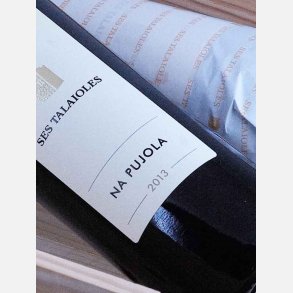Finca Ses Talaioles / Na Pujola 2018