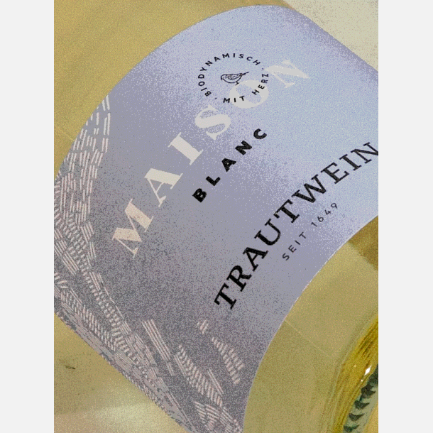 Weingut Trautwein / Blanc (Vielfalt) 2022